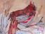 Picture of PERCHED CARDINAL  I