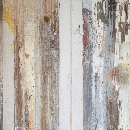 Picture of TEXTURED GRAIN I