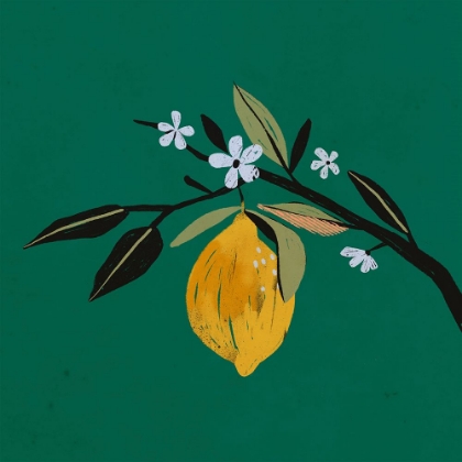 Picture of  LEMON BLOSSOM I