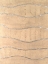 Picture of SILVER AND SAND I