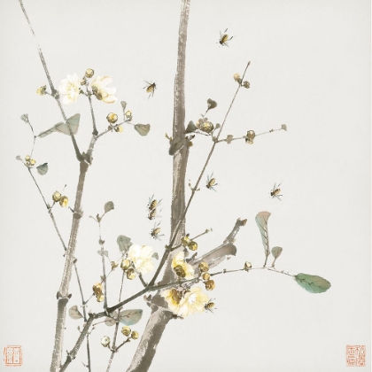 Picture of INSECTS AND FLOWERS II