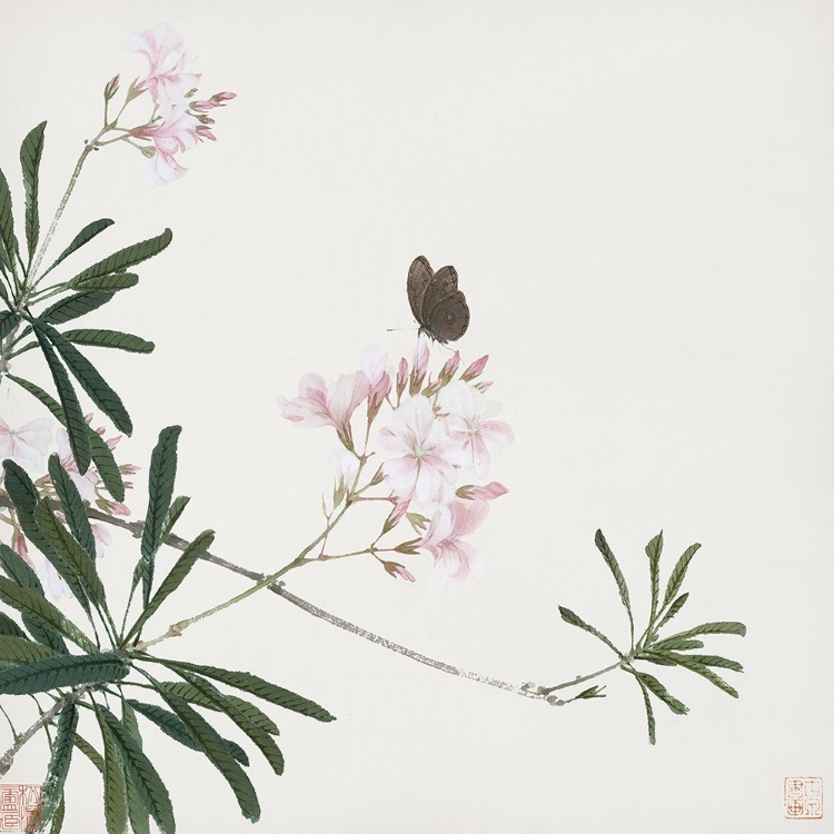 Picture of INSECTS AND FLOWERS V