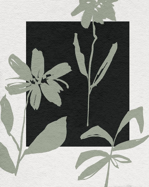 Picture of ABLOOM II