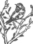 Picture of ONYX BIRD BRANCH II
