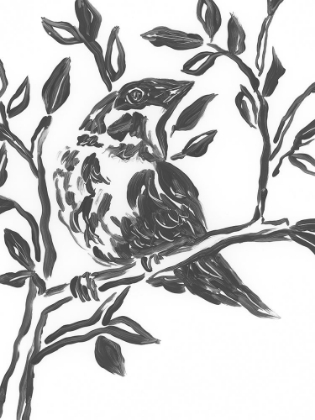 Picture of ONYX BIRD BRANCH III