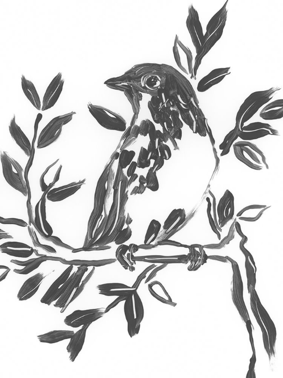 Picture of ONYX BIRD BRANCH IV