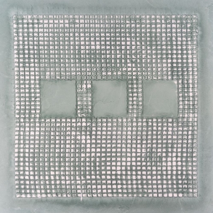 Picture of PANICLES II