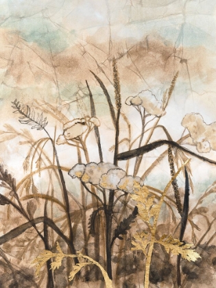 Picture of WILDFLOWER ARRAS II