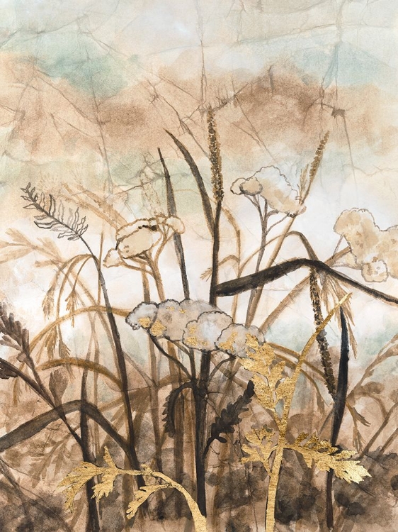 Picture of WILDFLOWER ARRAS II