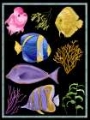 Picture of COLORFUL FISH I