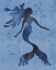 Picture of MERMAID SWIM I