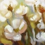 Picture of SPRINGING UPWARD IV