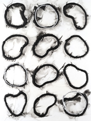 Picture of CELL STRUCTURE I