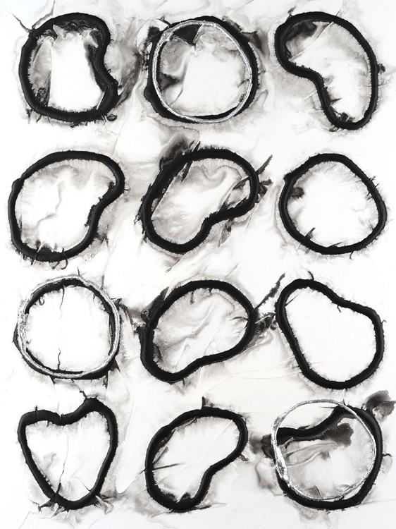 Picture of CELL STRUCTURE I