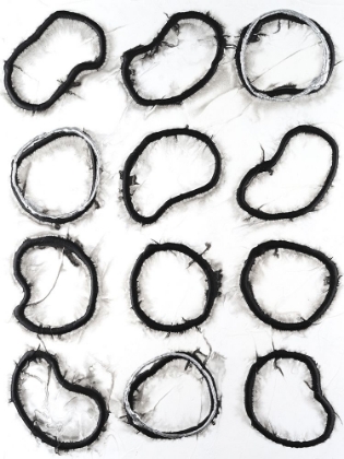 Picture of CELL STRUCTURE II