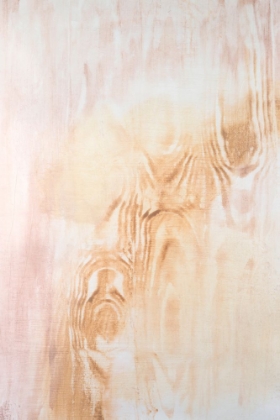 Picture of DESERT EROSION I