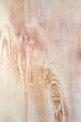 Picture of DESERT EROSION II