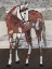 Picture of WAITING FOR SADDLE II