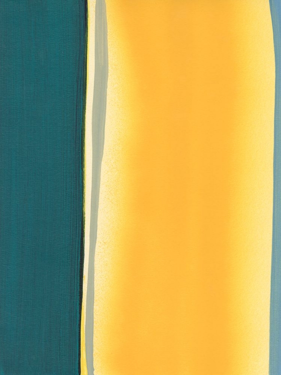 Picture of COLOR BLOCK PARTY IV