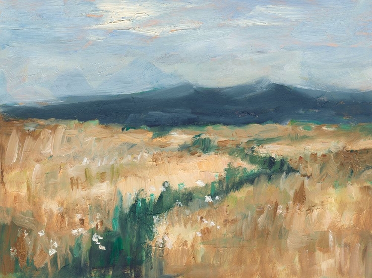 Picture of INDIGO MOUNTAIN BACKDROP I