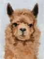 Picture of SWEETEST ALPACA I