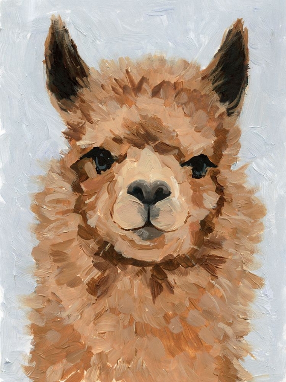 Picture of SWEETEST ALPACA I