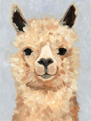 Picture of SWEETEST ALPACA II