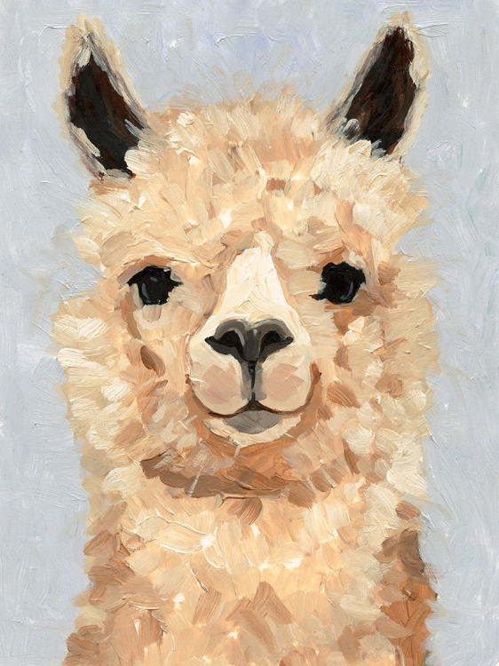 Picture of SWEETEST ALPACA II