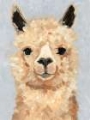 Picture of SWEETEST ALPACA II