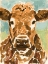Picture of BROWN COW PORTRAIT I