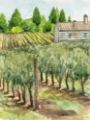 Picture of VINEYARD I