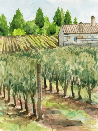 Picture of VINEYARD I