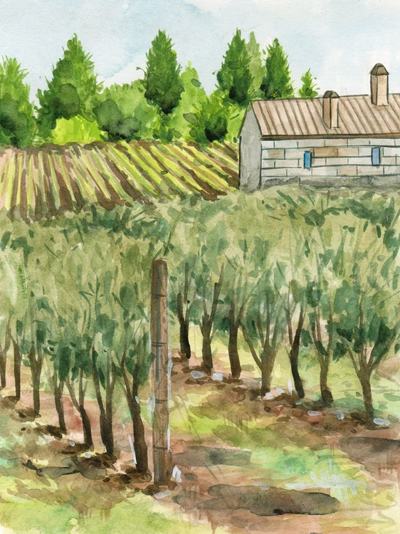 Picture of VINEYARD I
