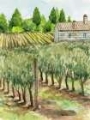 Picture of VINEYARD I