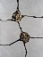 Picture of GOLDEN FISSURES I
