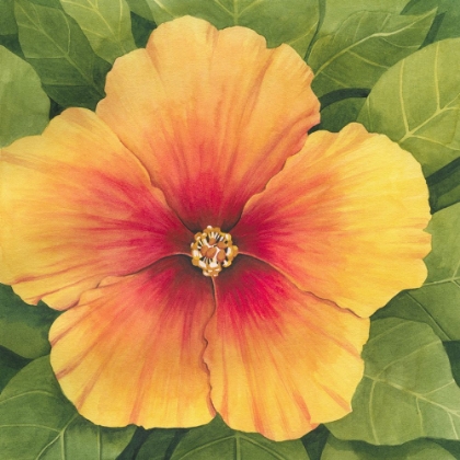 Picture of WILD HIBISCUS I