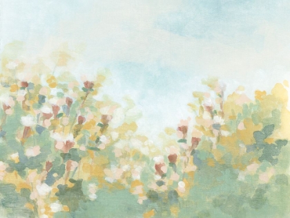 Picture of HAZY FLOWER MEADOW I