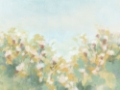 Picture of HAZY FLOWER MEADOW II