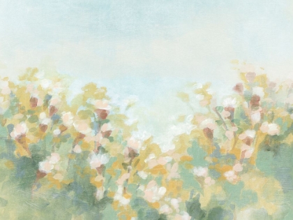 Picture of HAZY FLOWER MEADOW II