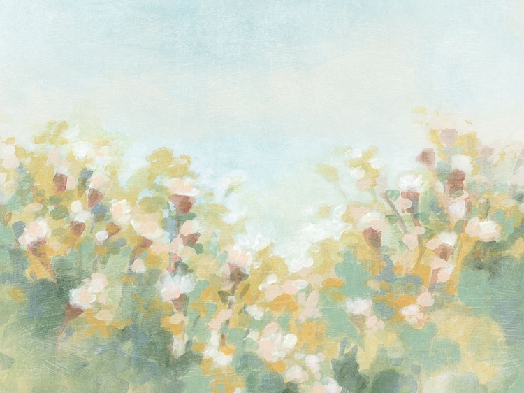 Picture of HAZY FLOWER MEADOW II