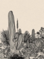 Picture of CACTUS DRAWING I