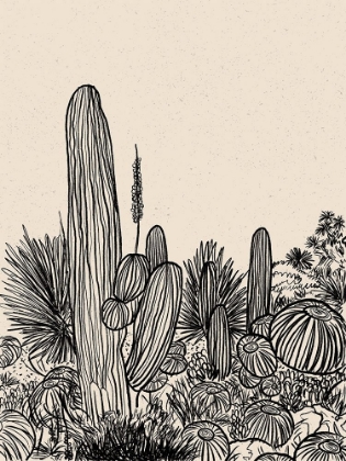 Picture of CACTUS DRAWING I