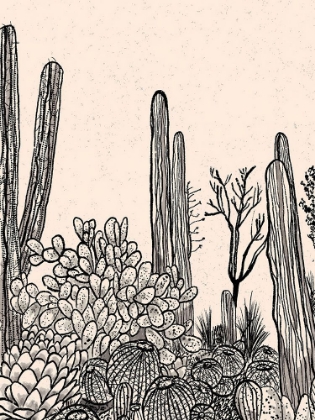 Picture of CACTUS DRAWING II