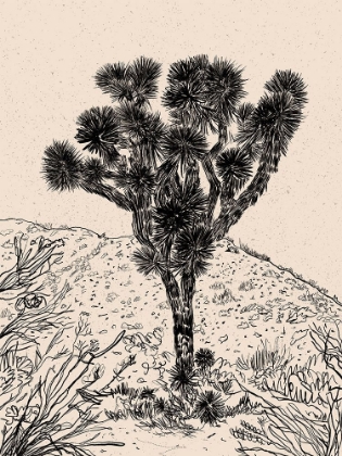 Picture of CACTUS DRAWING III