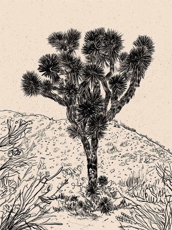 Picture of CACTUS DRAWING III