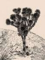 Picture of CACTUS DRAWING III