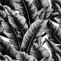 Picture of BLACK BANANA LEAVES