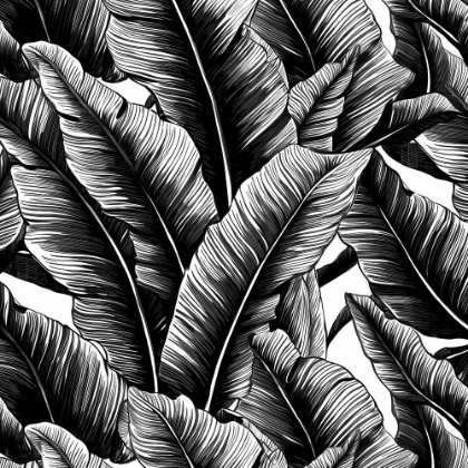 Picture of BLACK BANANA LEAVES