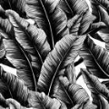 Picture of BLACK BANANA LEAVES