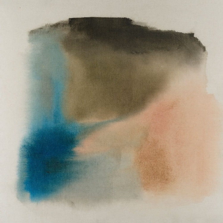 Picture of NOCTURNAL WASH I